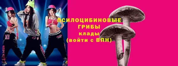 гашишное масло Богородицк