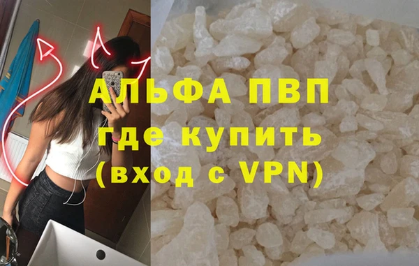 эйфоретик Богданович