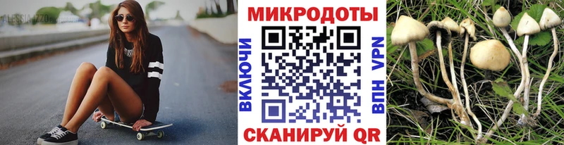 Галлюциногенные грибы мухоморы  Вилюйск 