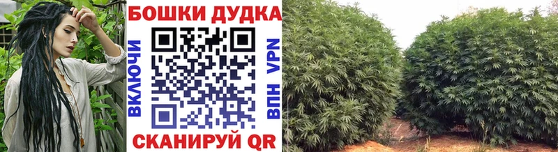 Бошки марихуана марихуана Вилюйск